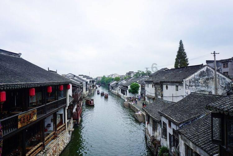 动物帮帮忙保卫家园